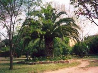 מלון פירנצה Garibaldi Relais מראה חיצוני תמונה